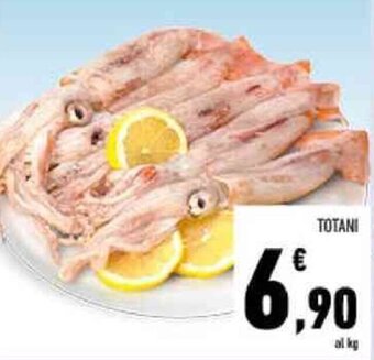 Conad Totani offerta