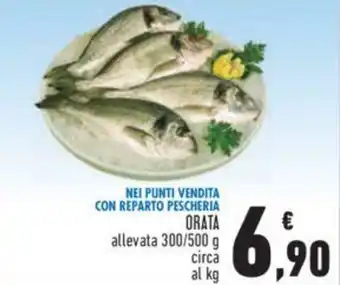 Conad Orata allevate 300/500 g circa offerta