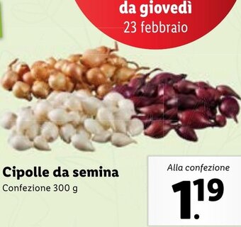 Lidl Cipolle da Semina Confezione 300 g offerta