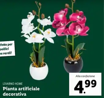 Lidl Livarno Home Pianta Artificiale Decorativa offerta