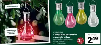 Lidl Livarno Home Lampadina Decorativa A Energia Solare 7.5 x 15 cm offerta