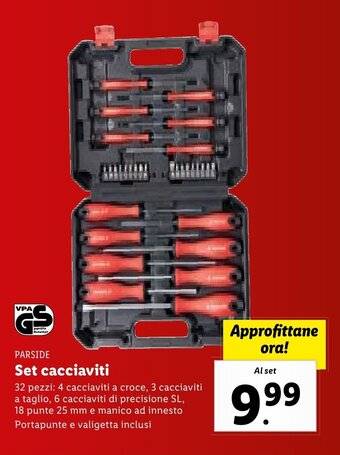 Lidl Parkside Set cacciaviti 32 pezzi offerta