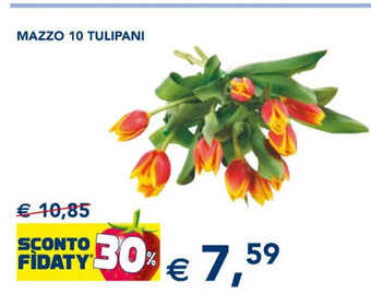 Mazzo 10 Tulipani