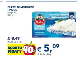 Esselunga Findus Filetti Di Merluzzo surgelati, 360 g offerta