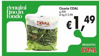 Coal City Cicoria coal offerta