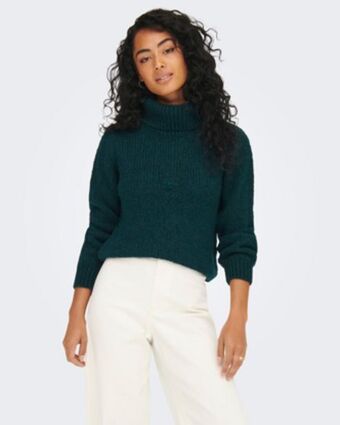 Globo Moda Maglia mmanica lunga collo alto dinea offerta