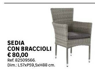 Leroy Merlin Sedia Con Braccioli offerta
