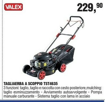 Valex Tagliaerba A Scoppio Tst4635
