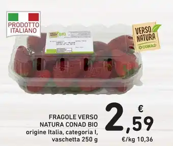 Conad Fragole Verso Natura Conad Bio origine italia, categoria L, vaschetta 250 g offerta