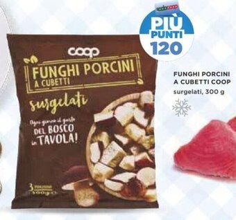 Coop Coop Funghi Porcini A Cubetti surgelati 300 g offerta