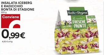 Coop Bontà di Stagione Insalata Iceberg e Radicchio 220 g offerta