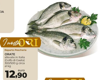 Conad Orate 300/500 g circa offerta