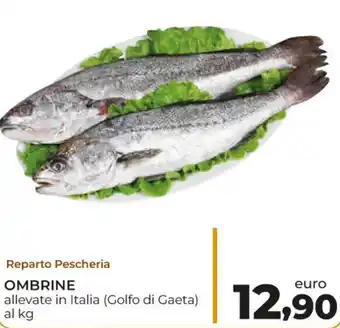 Conad Ombrine allevate in Italia (Golfo di Gaeta) offerta