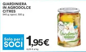 Citres Giardiniera in Agrodolce 540 g