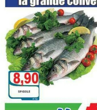 Gros Pesce offerta