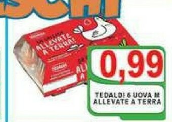 Gros Tedaldi Uova offerta