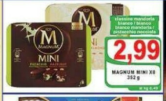 Gros Magnum Magnum offerta