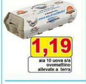Pewex Aia Uova offerta