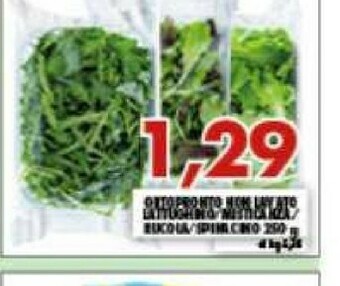 Gros Ortopronto Lattughino offerta
