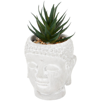 Action Buddha con pianta grassa offerta