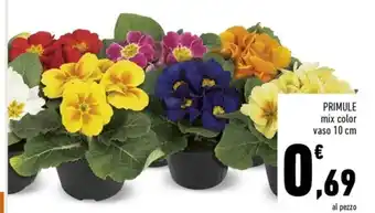 Conad Primule mix color vaso 10 cm offerta