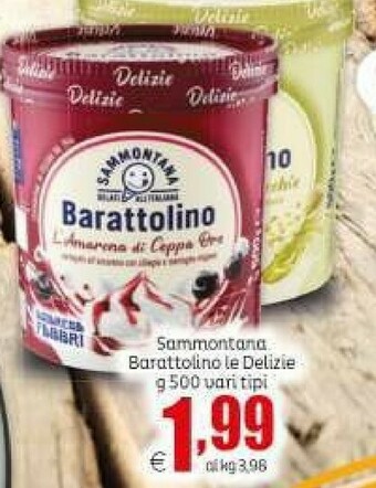 Elite Sammontana Barattolino Delizie Stracciatella 500 G(ml) offerta