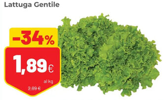 Coop Lattuga Gentile offerta