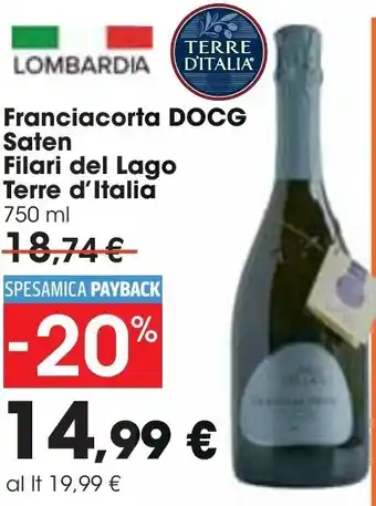 Carrefour Terre D'Italia Saten Filari del Lago Franciacorta DOCG 750 ml offerta