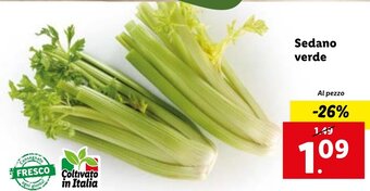 Lidl Sedano verde offerta