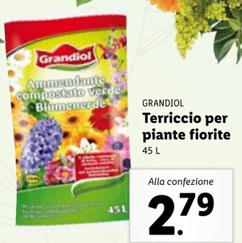Lidl Grandiol Terriccio per piante fiorite 45 l offerta