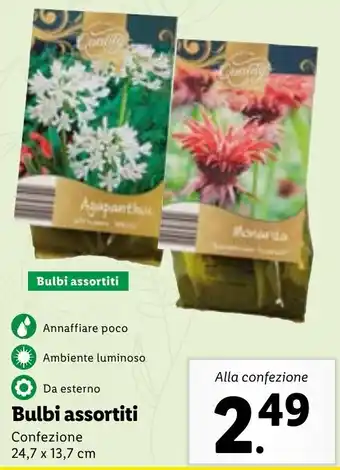 Lidl Bulbi Assortiti offerta