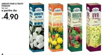 Bennet Fiorand Arbusti Fiori o Frutti offerta