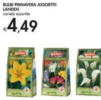 Bennet Landen Bulbi Primavera Assortiti Varietà Assortite offerta