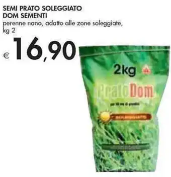 Bennet Dom Sementi Semi Prato Soleggiato Perenne Nano, Adalto Alle Zone Soleggiate, kg 2 offerta