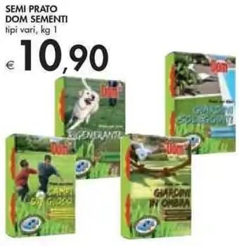 Bennet Dom Sementi Semi Prato Tipi Vari, kg 1 offerta