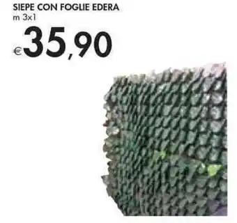 Siepe Con Foglie Edera m 3 x 1