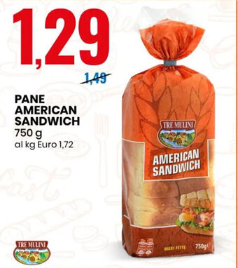 Eurospin Pane American Sandwich 750 g offerta