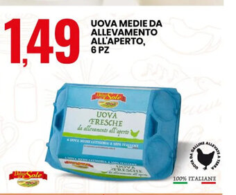 Uova Fresche Medie Da Allevamento All'Aperto 6 Pz