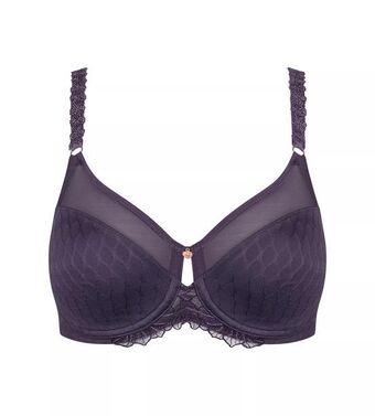 Triumph Azalea florale offerta