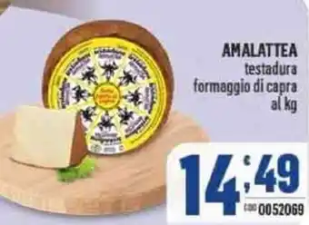 Gruppo di Palo Amalattea testadura formaggio di capra offerta