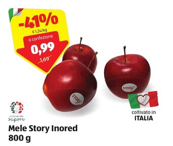 ALDI Mele Story Inored 800 g offerta