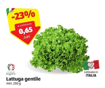 ALDI Lattuga gentile min. 250 g offerta