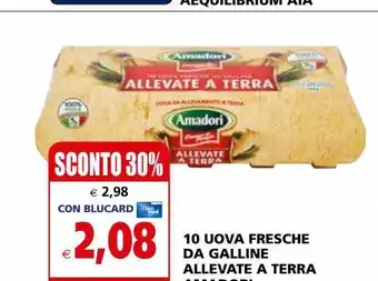 Il Gigante 10 uova fresche da galline allevate a terra amadori offerta