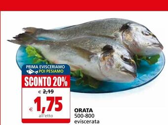 Il Gigante Orata offerta