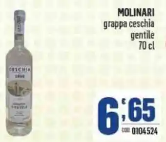 Gruppo di Palo Molinari Grappa Ceschia Gentile 70 cl offerta