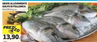 Coop Orata Allevamento Golfo Di Follonica 600 /800 g ca. offerta