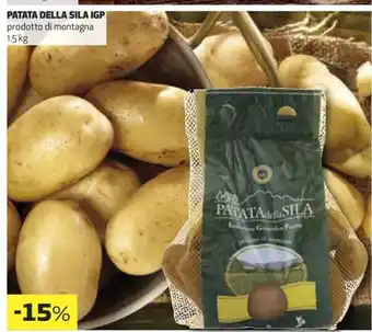 Coop Patata Della Sila IGP prodotto di montagna 1,5 kg offerta