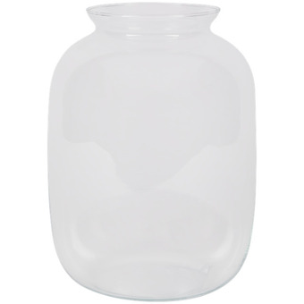Action Vaso amy offerta