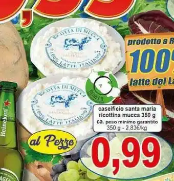 Gros Santa maria Ricottina Di Mucca offerta