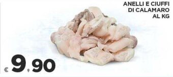 Anelli e Ciuffi di Calamaro